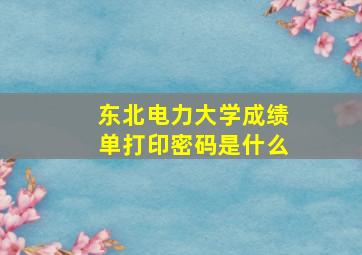 东北电力大学成绩单打印密码是什么