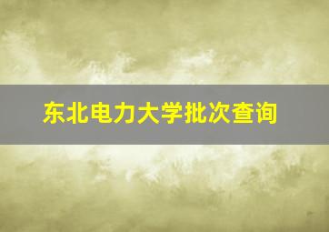 东北电力大学批次查询