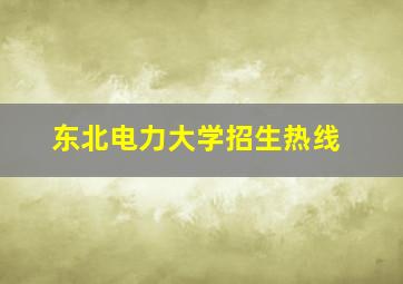 东北电力大学招生热线