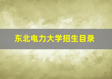 东北电力大学招生目录