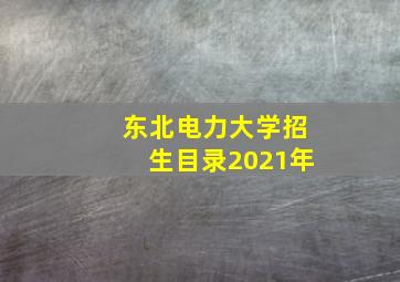 东北电力大学招生目录2021年