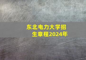 东北电力大学招生章程2024年