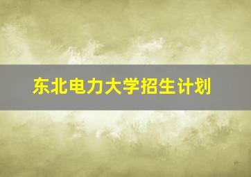 东北电力大学招生计划