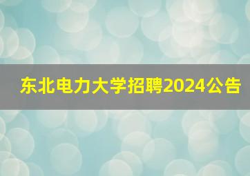 东北电力大学招聘2024公告