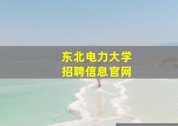 东北电力大学招聘信息官网