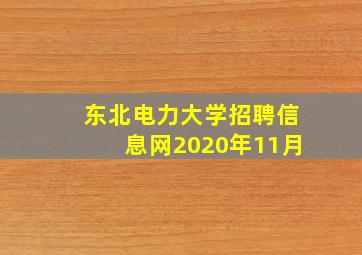 东北电力大学招聘信息网2020年11月