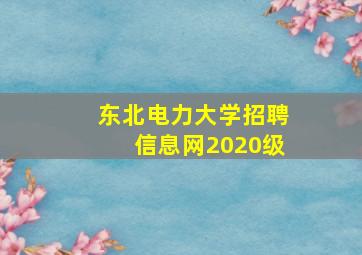 东北电力大学招聘信息网2020级