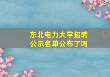 东北电力大学招聘公示名单公布了吗