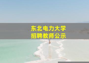 东北电力大学招聘教师公示