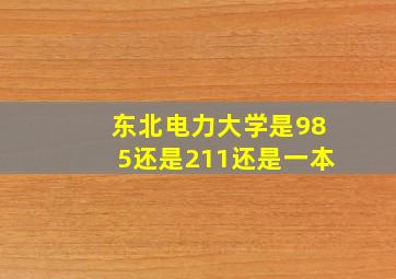 东北电力大学是985还是211还是一本