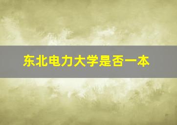 东北电力大学是否一本