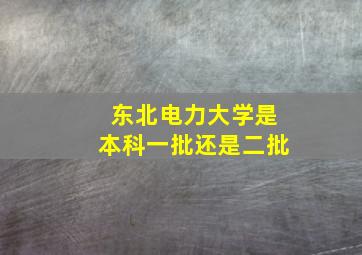 东北电力大学是本科一批还是二批