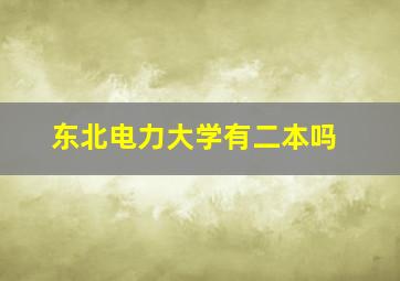 东北电力大学有二本吗