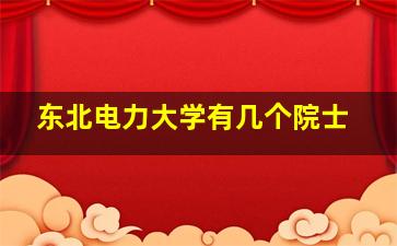 东北电力大学有几个院士