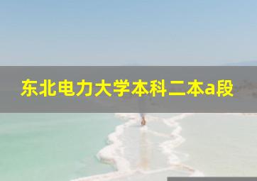 东北电力大学本科二本a段