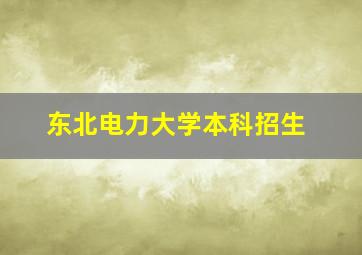 东北电力大学本科招生