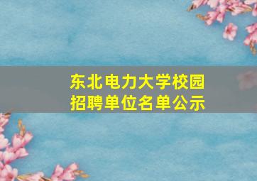 东北电力大学校园招聘单位名单公示