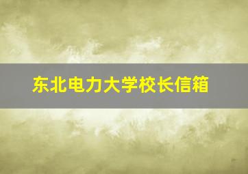 东北电力大学校长信箱