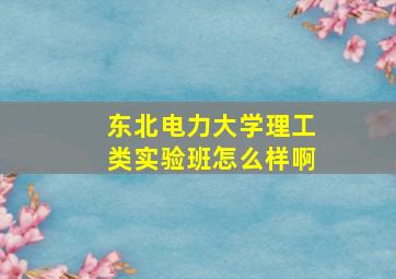 东北电力大学理工类实验班怎么样啊