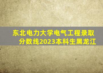 东北电力大学电气工程录取分数线2023本科生黑龙江