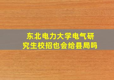 东北电力大学电气研究生校招也会给县局吗