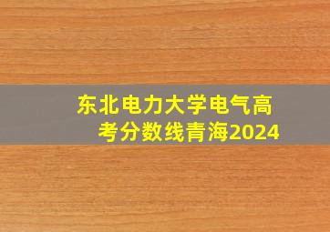 东北电力大学电气高考分数线青海2024