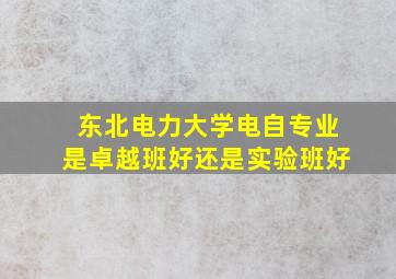 东北电力大学电自专业是卓越班好还是实验班好