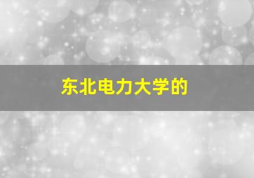 东北电力大学的