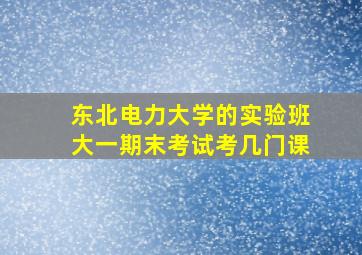 东北电力大学的实验班大一期末考试考几门课