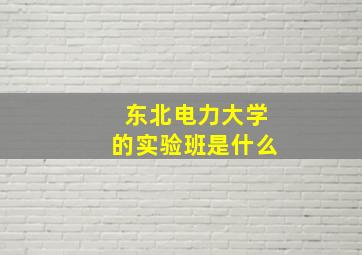 东北电力大学的实验班是什么