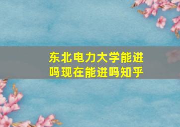 东北电力大学能进吗现在能进吗知乎