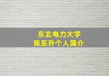 东北电力大学陈东升个人简介