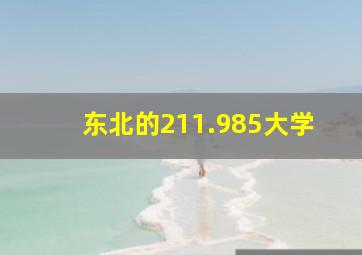 东北的211.985大学