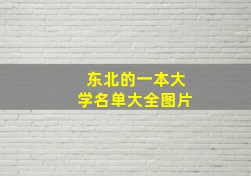 东北的一本大学名单大全图片