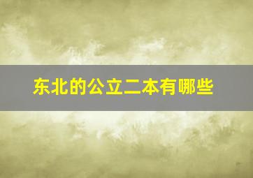 东北的公立二本有哪些