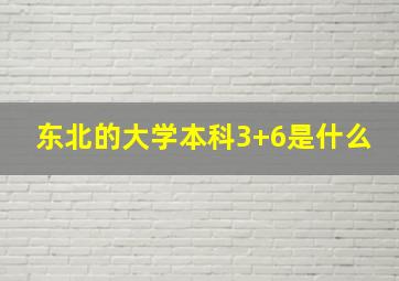 东北的大学本科3+6是什么