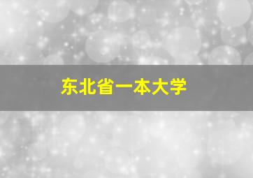 东北省一本大学