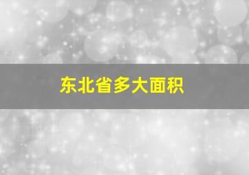 东北省多大面积