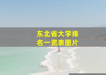 东北省大学排名一览表图片