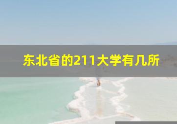 东北省的211大学有几所