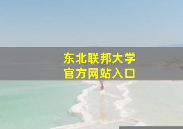 东北联邦大学官方网站入口