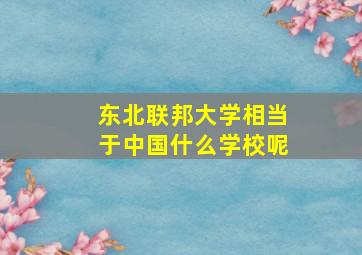 东北联邦大学相当于中国什么学校呢