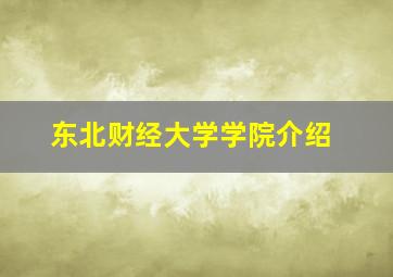 东北财经大学学院介绍