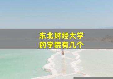 东北财经大学的学院有几个