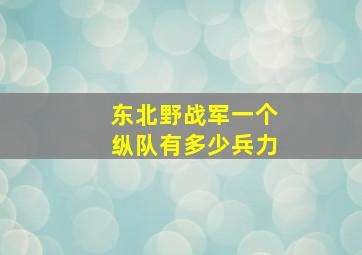 东北野战军一个纵队有多少兵力