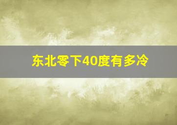 东北零下40度有多冷