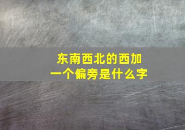 东南西北的西加一个偏旁是什么字