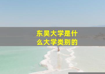 东吴大学是什么大学类别的