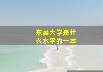 东吴大学是什么水平的一本