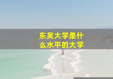 东吴大学是什么水平的大学